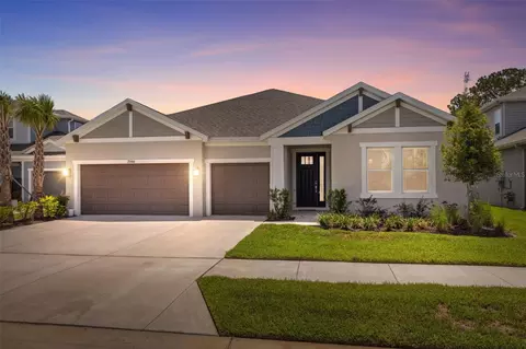 33466 Landsman Loop, Wesley Chapel, FL 33543