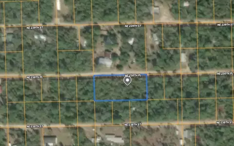 25 NE 238th Pl, Fort Mc Coy, FL 32134