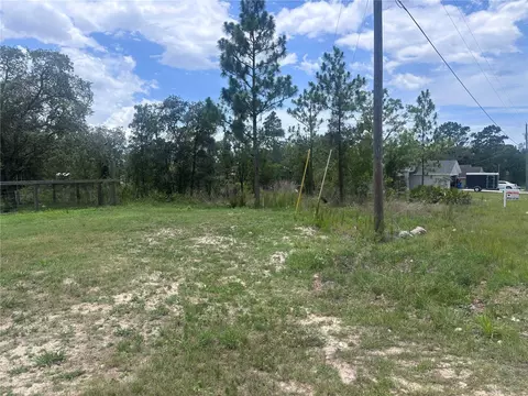 Nusser Avenue, Weeki Wachee, FL 34613