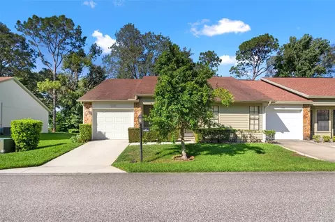 6590 Brambleleaf Dr, Spring Hill, FL 34606