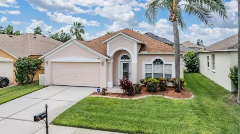 10435 Peppergrass Ct, Trinity, FL 34655