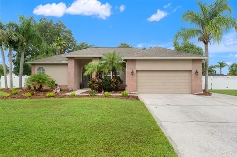 3901 Sandalwood Dr, Land O Lakes, FL 34639