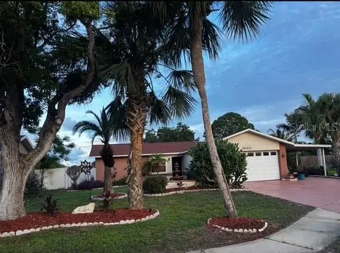 10411 Leaning Oak Dr, Port Richey, FL 34668
