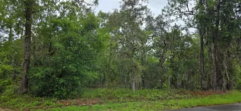 1308 N Prospect Ave, Lecanto, FL 34461