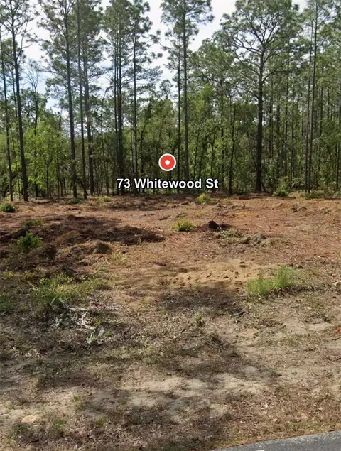 73 Whitewood St, Homosassa, FL 34446