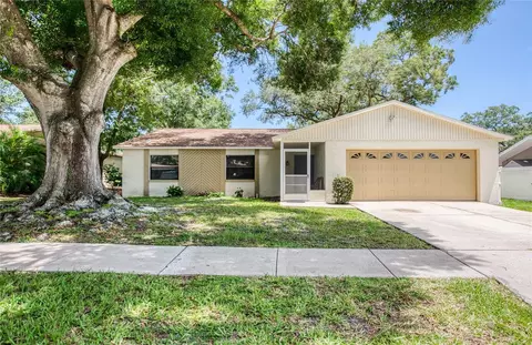 213 Lotus Dr, Safety Harbor, FL 34695
