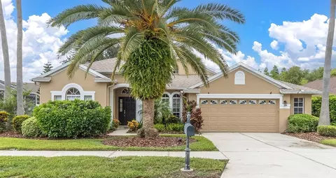8729 Torchwood Dr, Trinity, FL 34655 photo 1