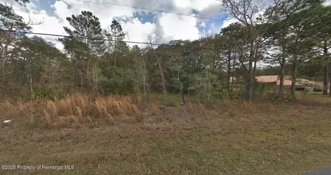 13176 Kildeer Rd, Weeki Wachee, FL 34614