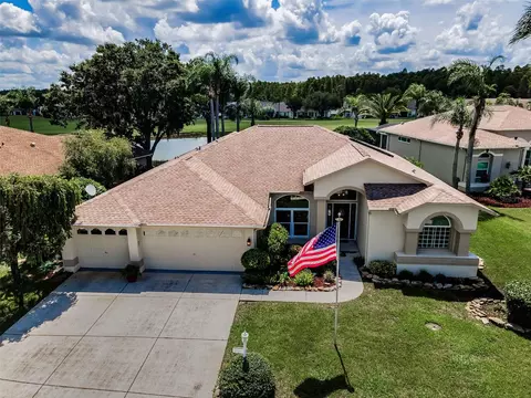 1132 Rambling Vine Ct, Trinity, FL 34655