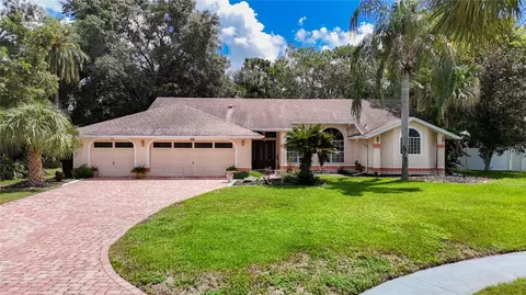 14101 Beechtree Ct, Hudson, FL 34667