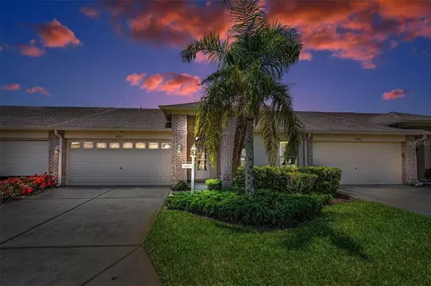 12136 Arron Ter, Trinity, FL 34655