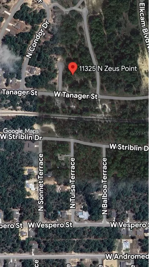 11325 N Zeus Pt, Dunnellon, FL 34433