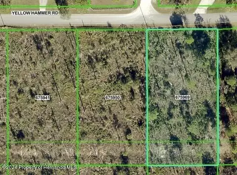 11130 Yellow Hammer Rd, Weeki Wachee, FL 34614