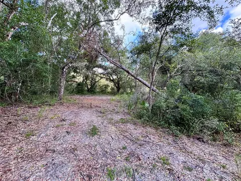 0 Bedrock Dr, Webster, FL 33597 photo 7