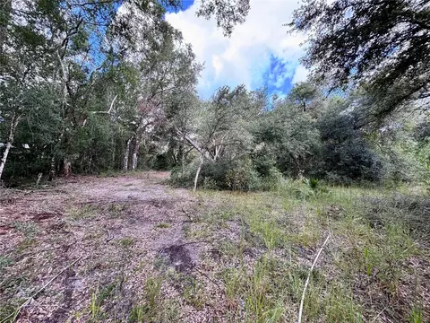 0 Bedrock Dr, Webster, FL 33597 photo 6
