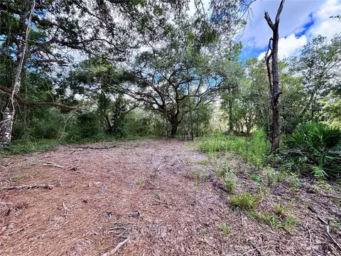 0 Bedrock Dr, Webster, FL 33597 photo 8
