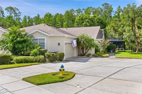 7239 Cleopatra Dr, Land O Lakes, FL 34637
