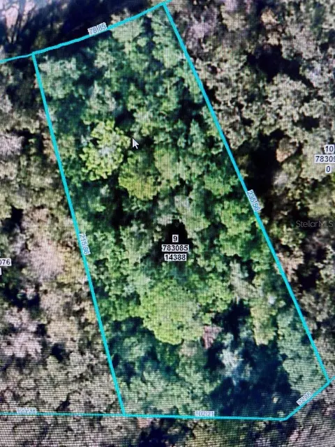 14388 Chimney Swift Rd, Weeki Wachee, FL 34614