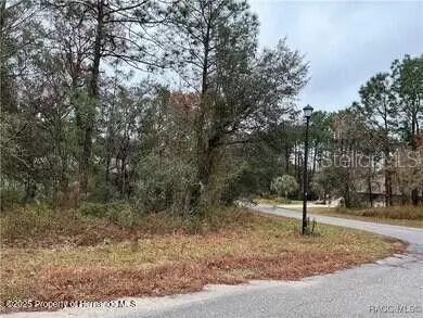 6 Shamrock Ct, Homosassa, FL 34446