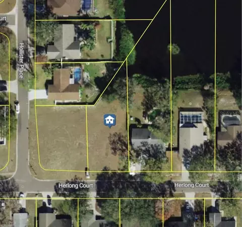 0 Herlong Ct, Brandon, FL 33511