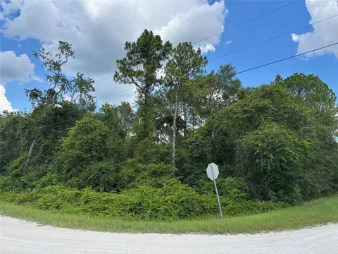 lot1 Canvasback Rd, Brooksville, FL 34614