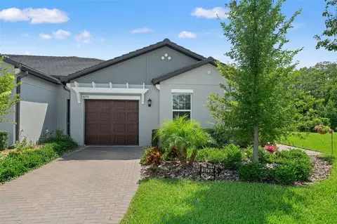 16793 Forge Surf St, Land O Lakes, FL 34638