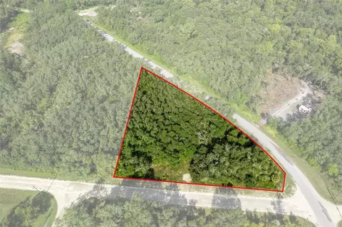 Bigelow Avenue, Webster, FL 33597