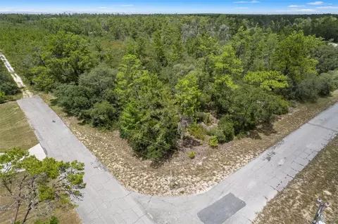 7964 N Gatewood Dr, Citrus Springs, FL 34433