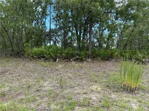 1195 W Hampshire Blvd, Citrus Springs, FL 34434