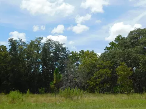6681 N Bedstrow Blvd, Dunnellon, FL 34434