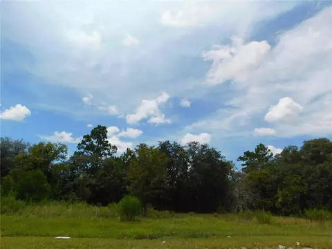 6683 N Bedstrow Blvd, Dunnellon, FL 34434