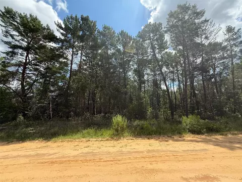 David Avenue, Interlachen, FL 32148