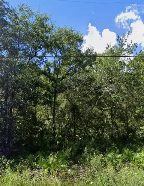 Gowan Street, New Port Richey, FL 34654