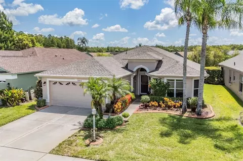 1042 Dustan Pl, Trinity, FL 34655
