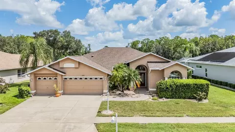 1437 Winding Willow Dr, Trinity, FL 34655
