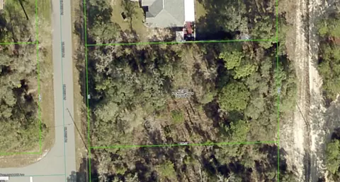 13252 Kildeer Rd, Weeki Wachee, FL 34614