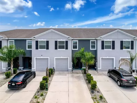 16196 Traditional Bluff Pl, Odessa, FL 33556