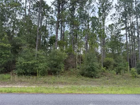 1675 W Donner Dr, Citrus Springs, FL 34434