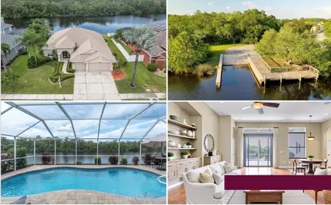 2323 Tarragon Ln, Trinity, FL 34655
