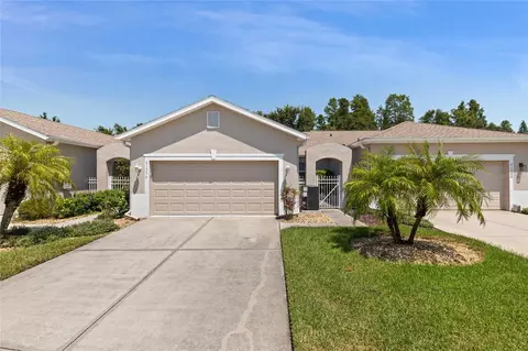 21336 Diamonte Dr, Land O Lakes, FL 34637