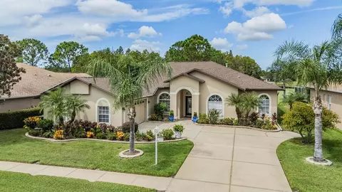 1634 Winding Willow Dr, Trinity, FL 34655