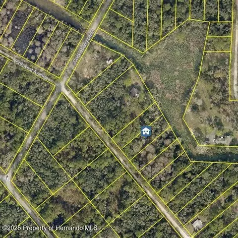 lot7 Northwest Ave, Webster, FL 33597