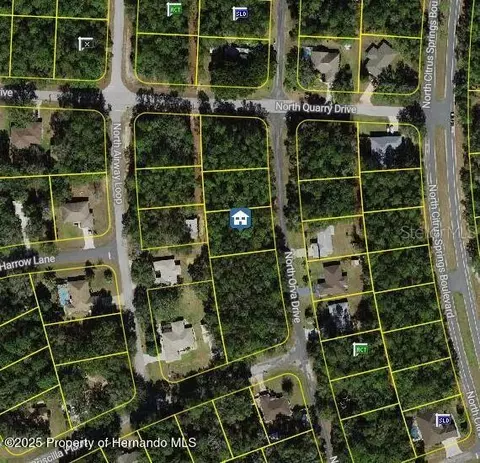 10768 N Orva Dr, Citrus Springs, FL 34434