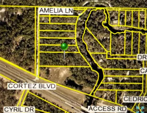 Amelia Lane, Dade City, FL 33523
