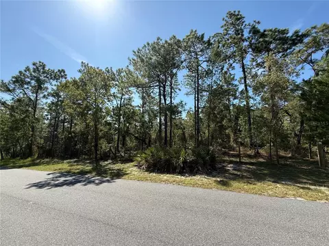 9006 Michigan Ave, Weeki Wachee, FL 34613