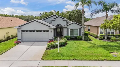 11946 Yellow Finch Ln, Trinity, FL 34655