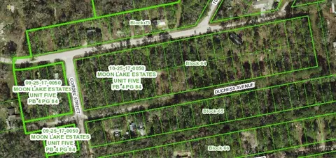 13027 Duchess Ave, New Port Richey, FL 34654