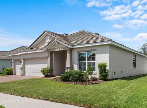 11933 Cinnamon Fern Dr, Riverview, FL 33579