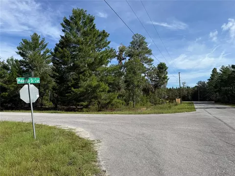 Malauka Trail, Ocklawaha, FL 32179