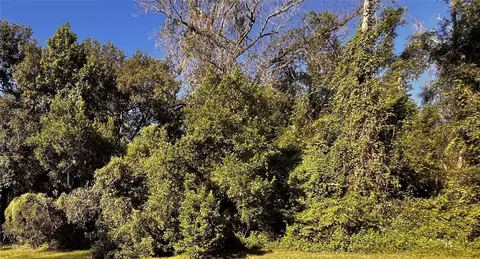 7152 Kenyon Dr, Webster, FL 33597